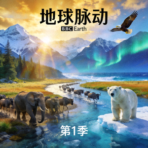 纪录片《地球脉动》海报 - 壮丽的自然景观与野生动物